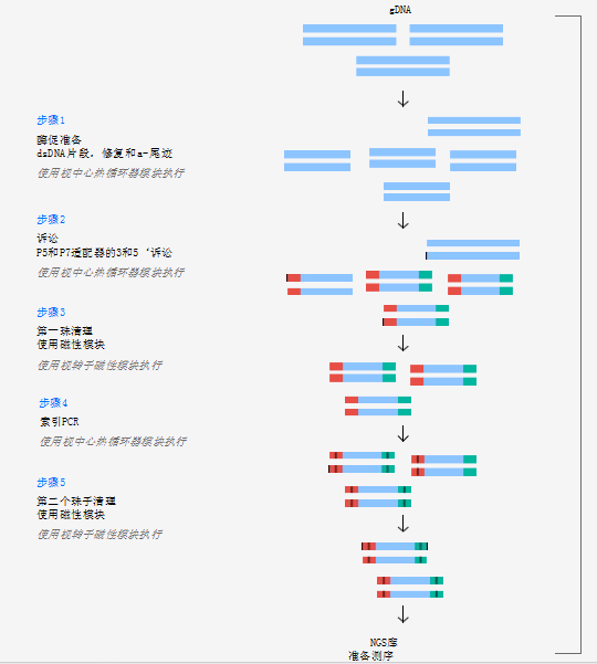 酶和雙指標在溫度模塊上積極冷卻