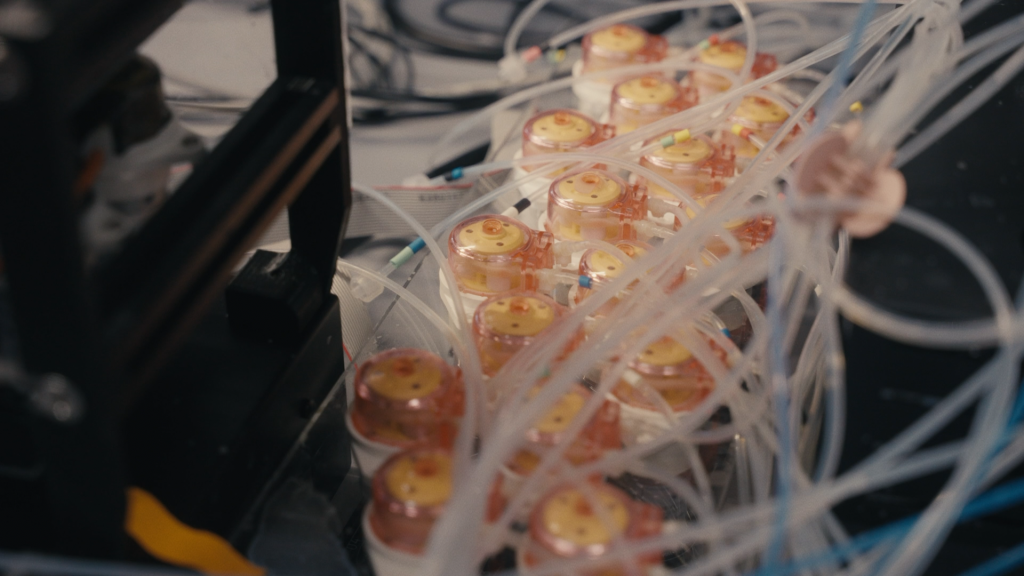 Flex 移液器在細胞實驗中的作用解析